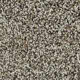 Mohawk Carpet
Graceful Harmony I